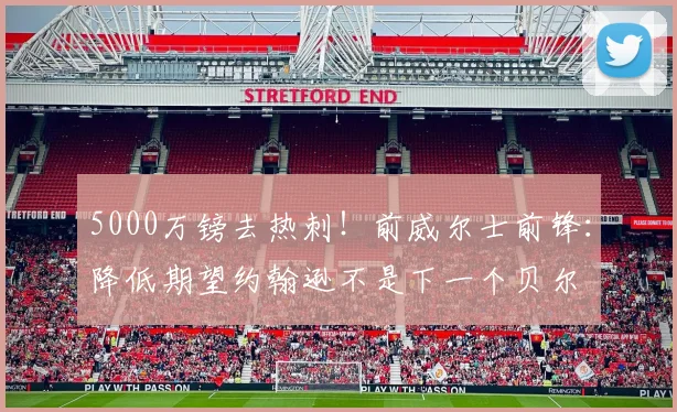 5000万镑去热刺！前威尔士前锋：降低期望约翰逊不是下一个贝尔