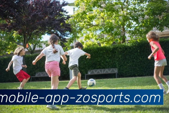 中欧体育品牌故事